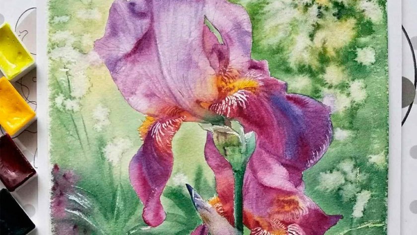 Ирисы - Титова (2017)_0.jpg